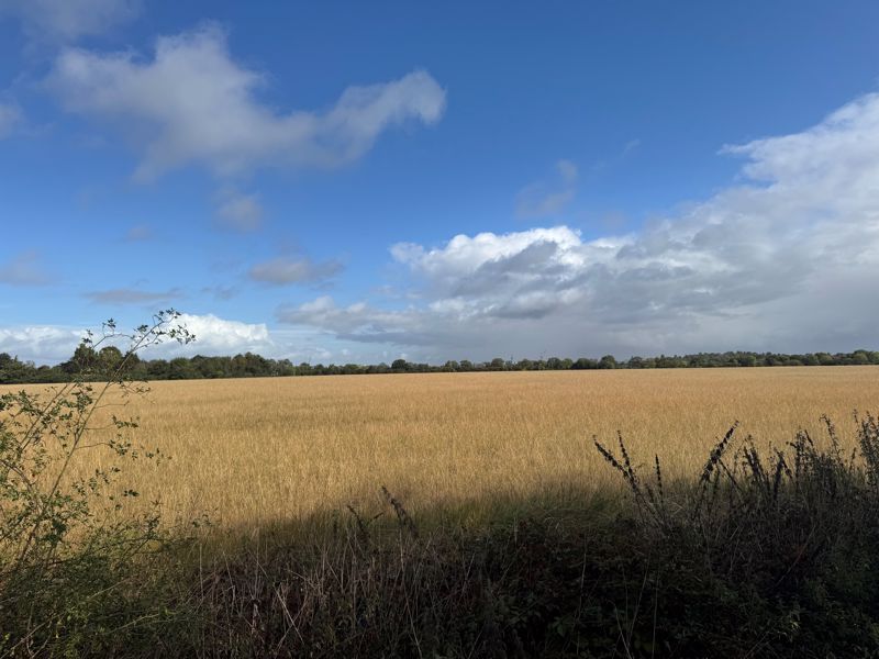 Property photo 2 of 12 Photo 1