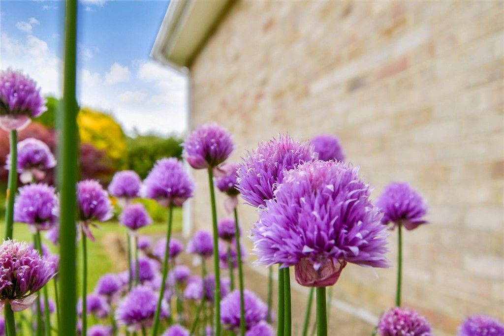 Property photo 3 of 19 External Lifestyle Photograph