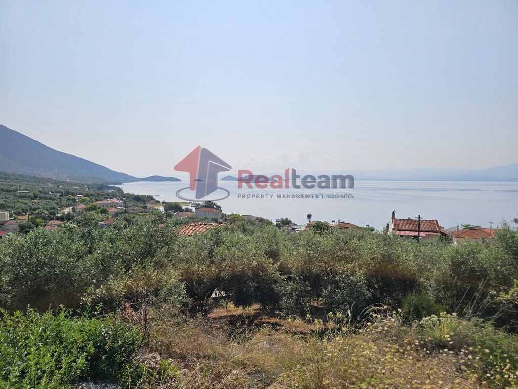 Property photo 1 of 25