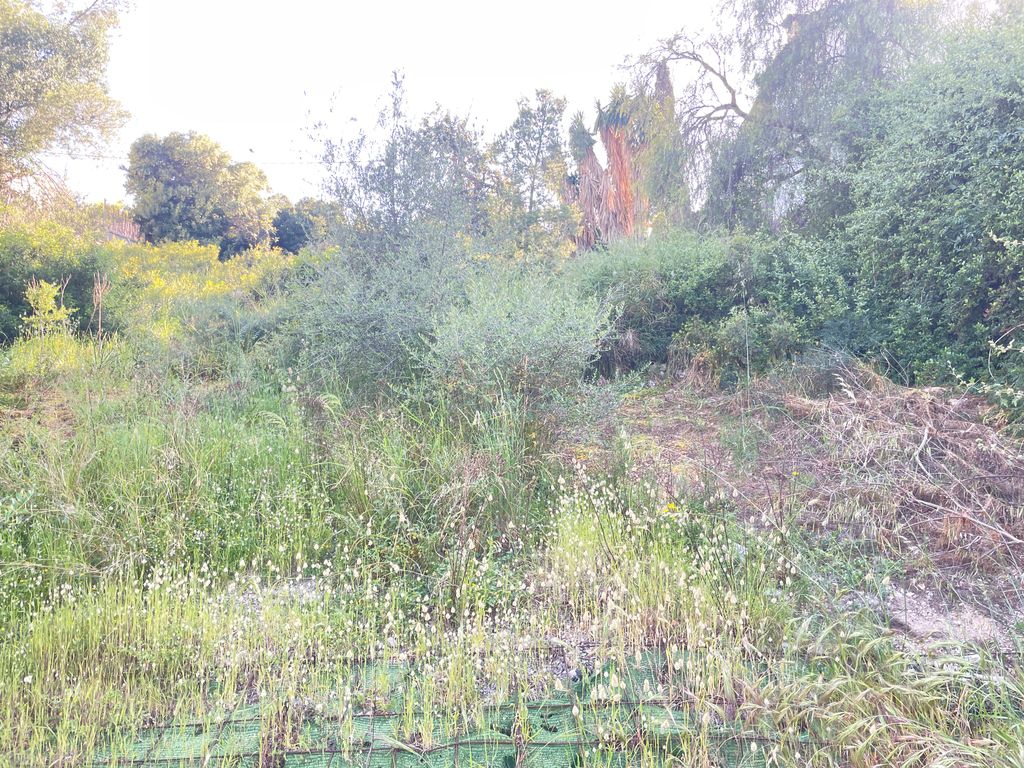 Property photo 3 of 4 3 83647 Plot Second Image Rear View.Jpg