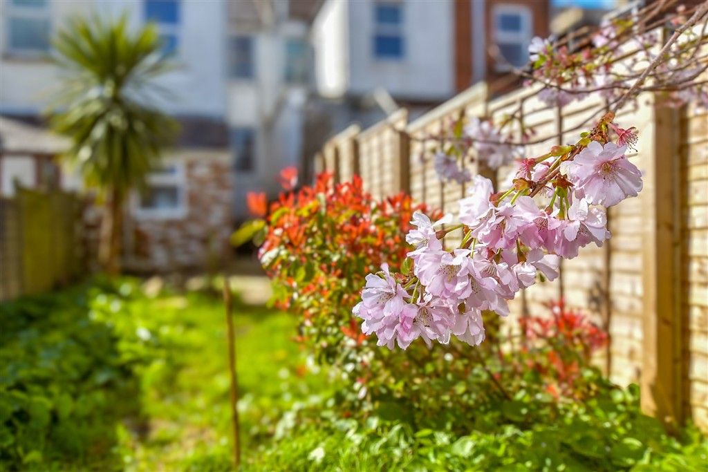 Property photo 2 of 10 External Lifestyle Photograph