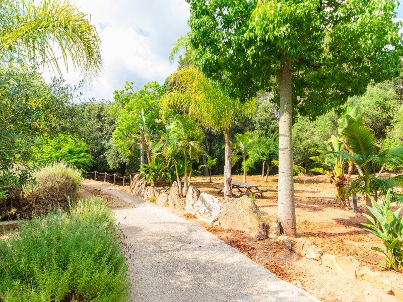 Property photo 3 of 81