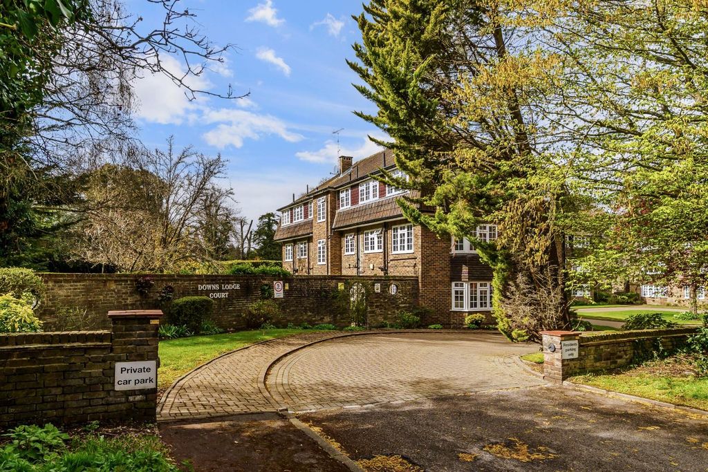 Property photo 1 of 16 Downs Lodge Court