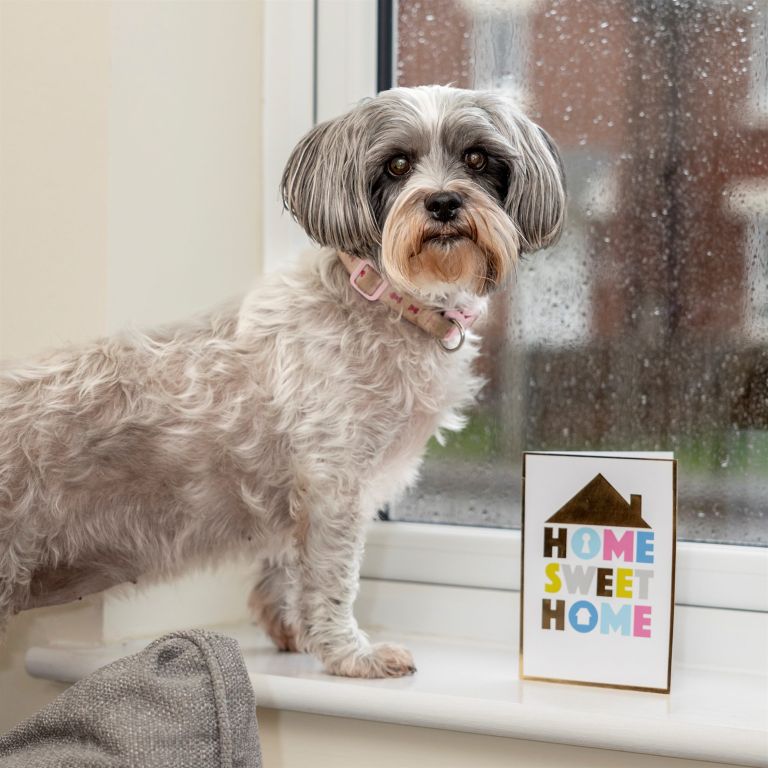 Property photo 3 of 3