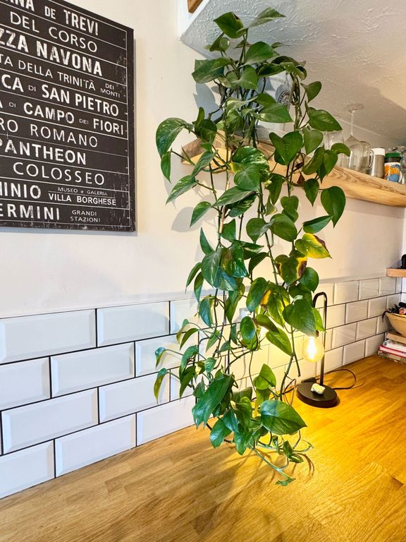 Property photo 3 of 24