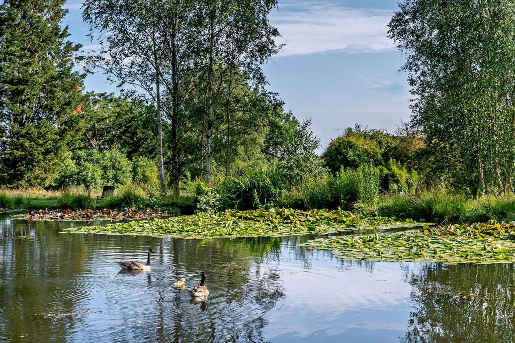 Property photo 1 of 23 Pond