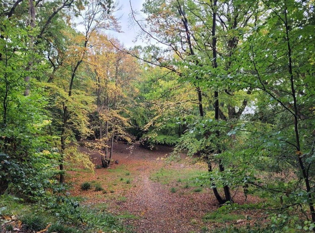 Property photo 1 of 6