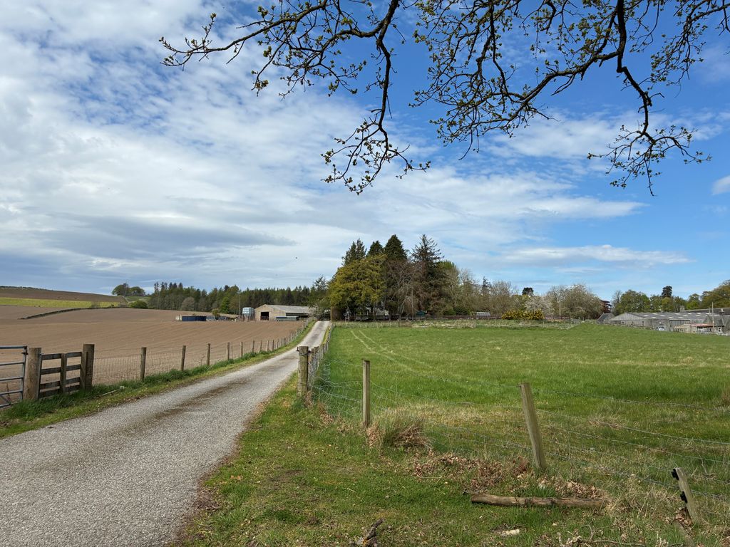 Land for saleSauchen AB51 photo 4