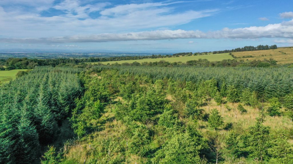 Additional image 8 of Land for saleWestward, Wigton 8Nq, Wigton CA7