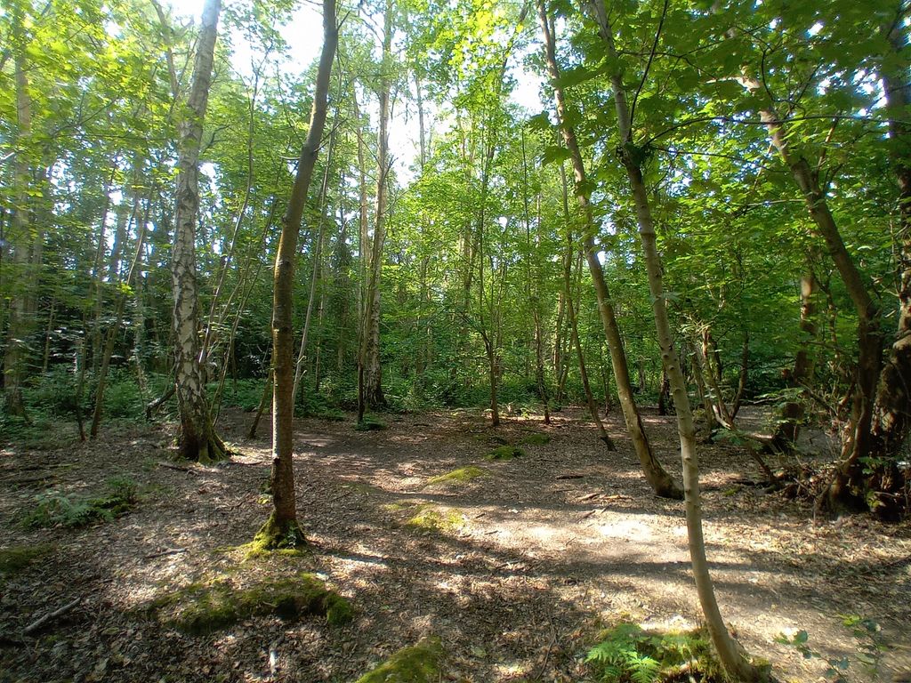 Property photo 1 of 4 Photo 4