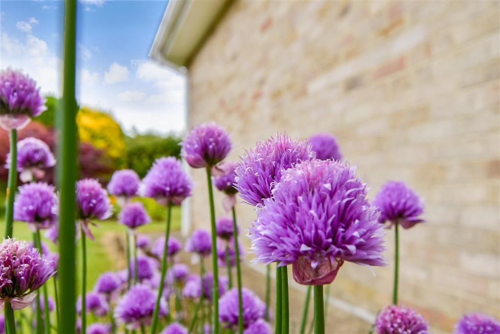Property photo 1 of 19 External Lifestyle Photograph
