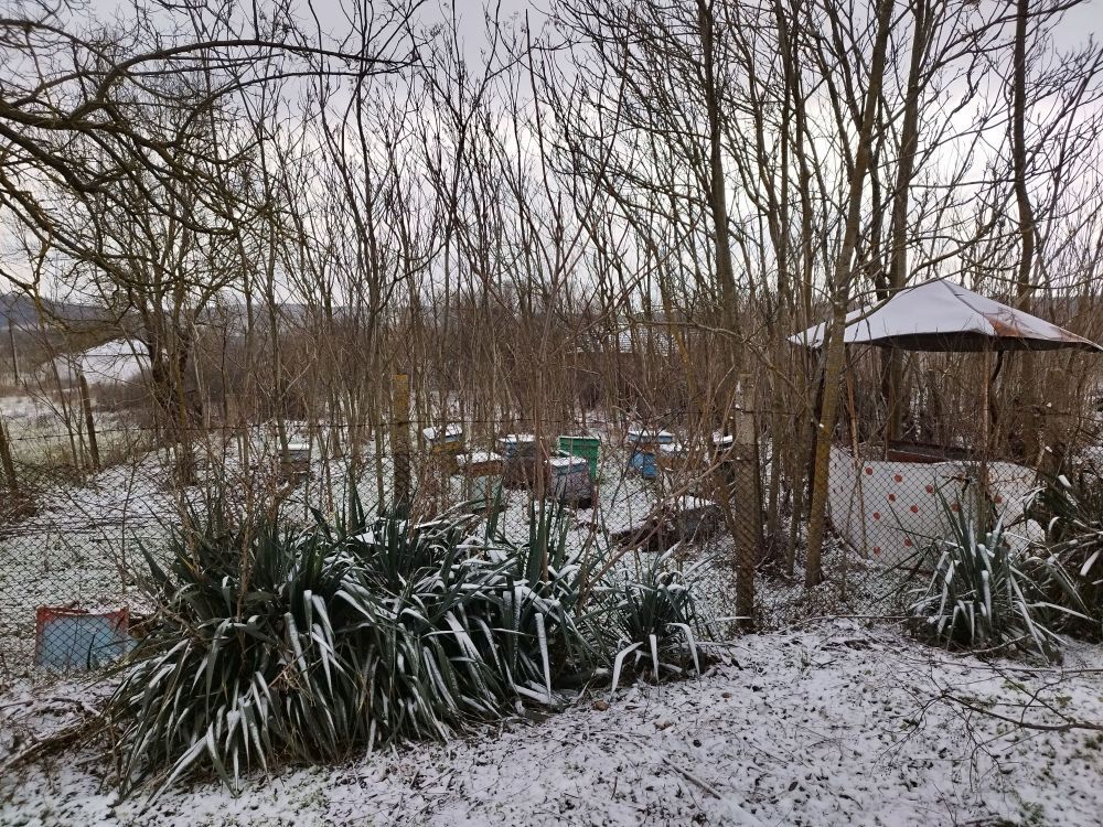 Property photo 3 of 3