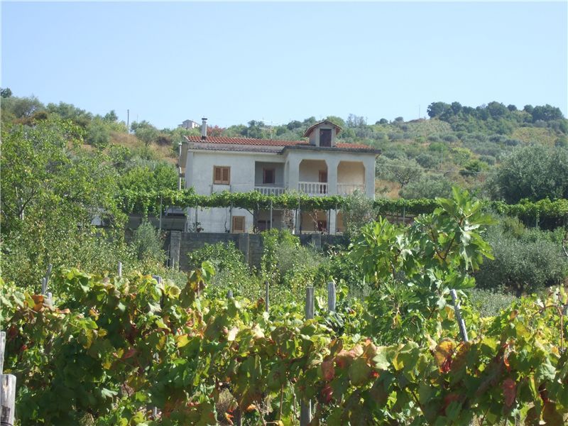 Property photo 1 of 61 Villa