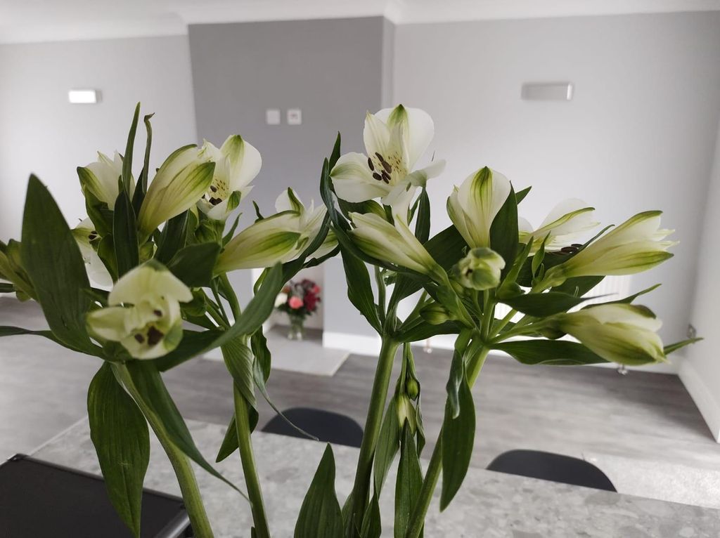 Property photo 3 of 16 Property