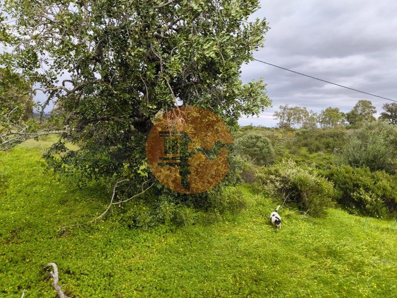 Property photo 3 of 28