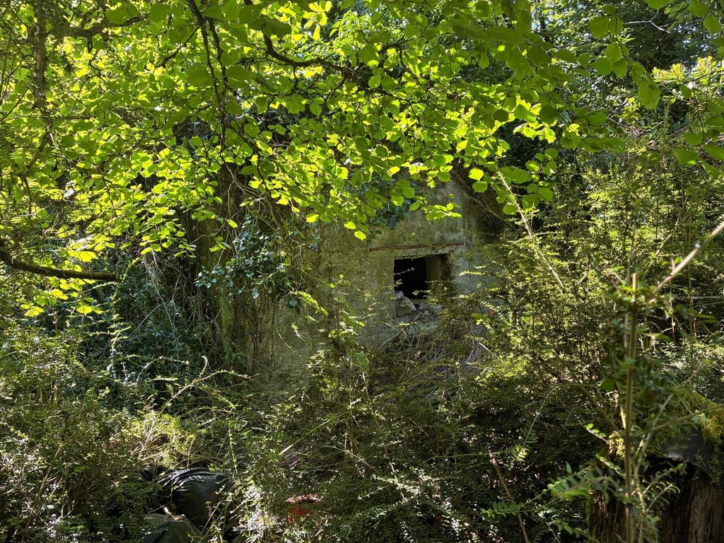 Property photo 2 of 3 Picture No. 02