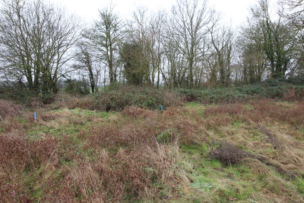 Property photo 3 of 8 Picture No. 04