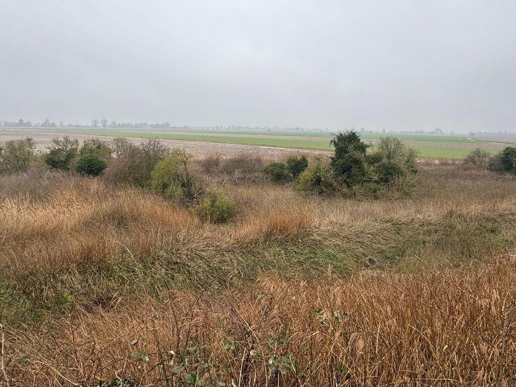 Additional image 6 of Land for saleHedgefield Hurn, Gosberton, Spalding, Lincolnshire PE11
