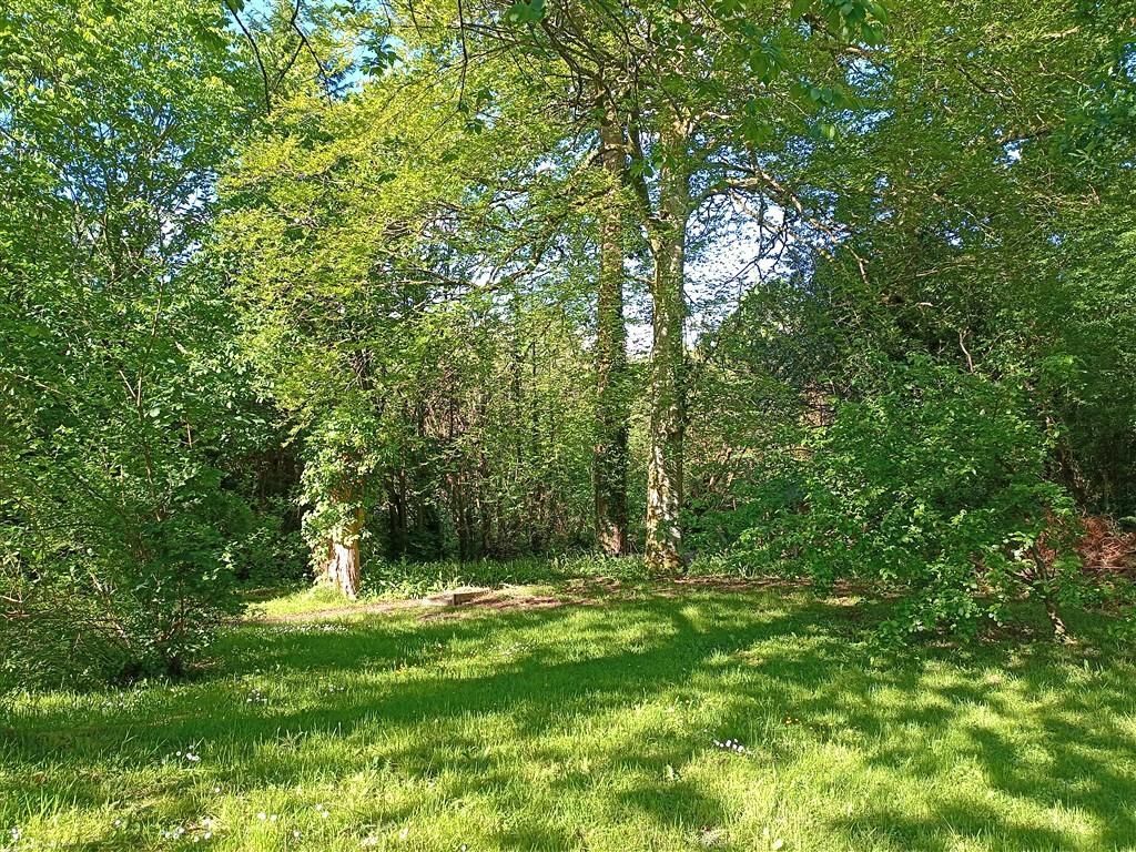 Property photo 2 of 27 Beautiful Wooded Backdrop