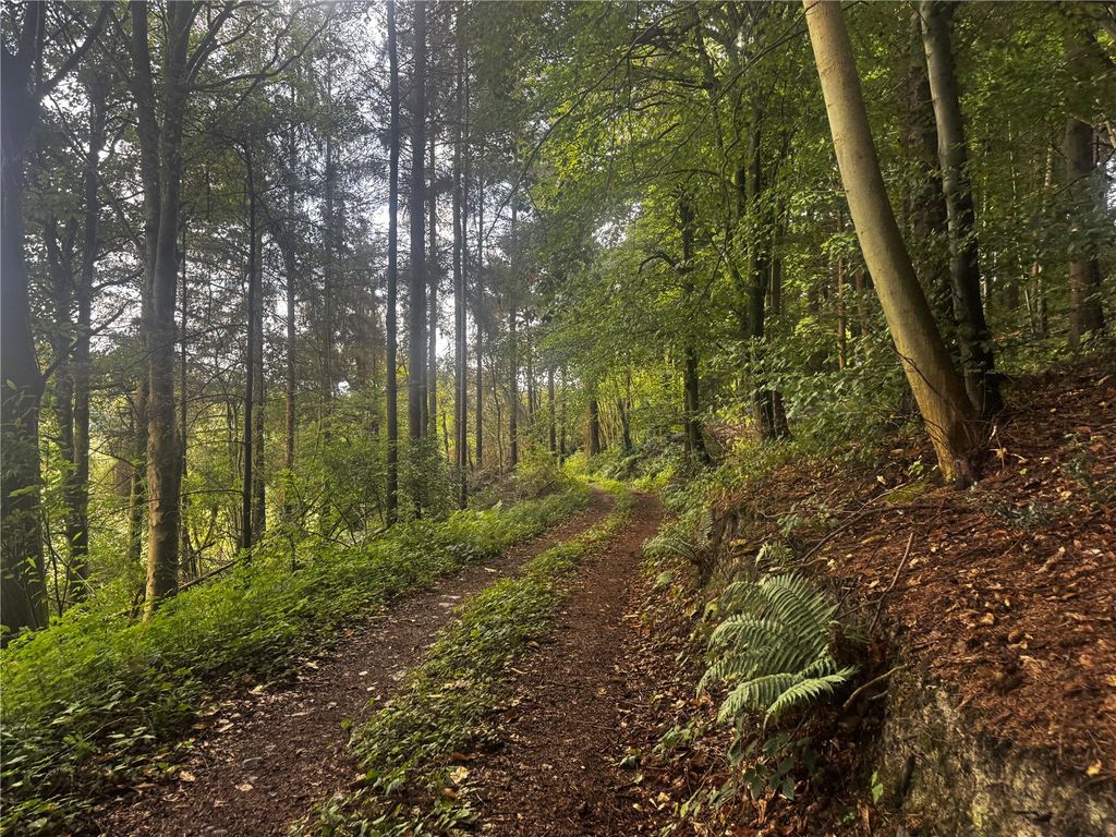 Property photo 1 of 30 Picture No. 04