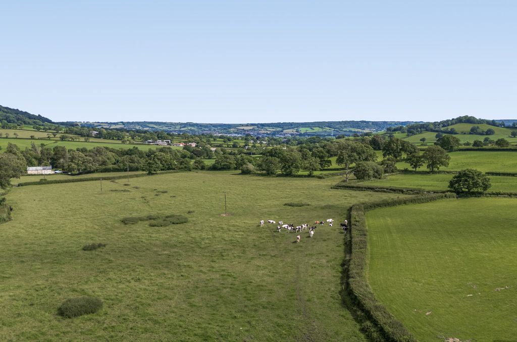 Additional image 27 of Land for saleAwliscombe, Honiton, Devon EX14