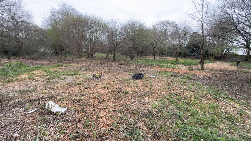 Property photo 3 of 6 Cleared Land 4