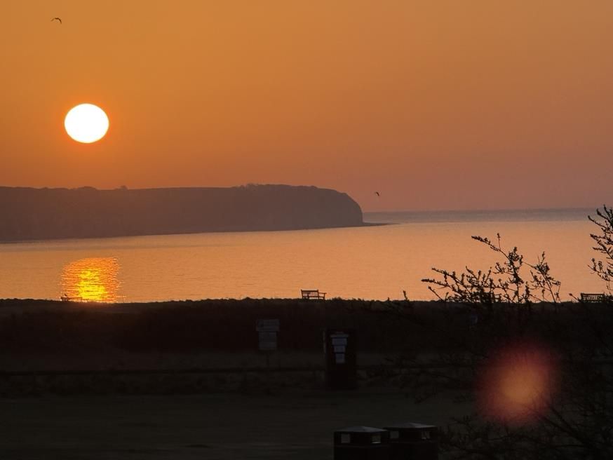 Property photo 2 of 31 Img_3846.Jpeg