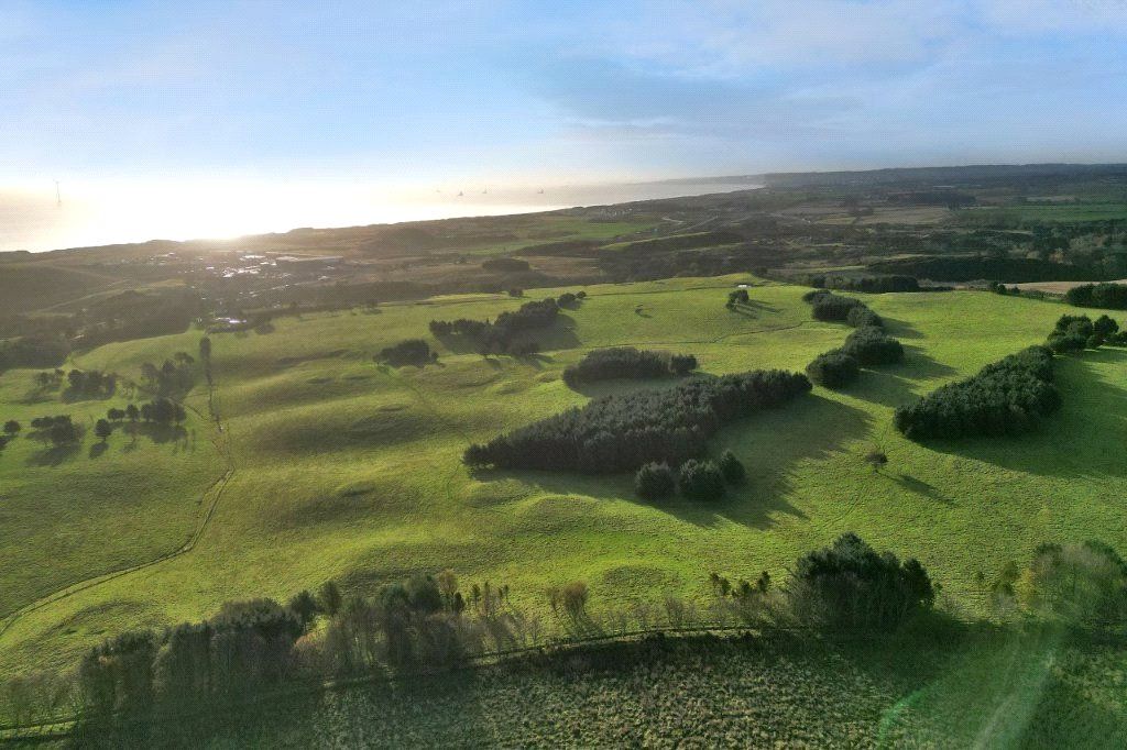 Property photo 1 of 7 Picture No. 01