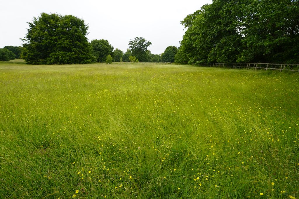 Property photo 2 of 6 Photo 1