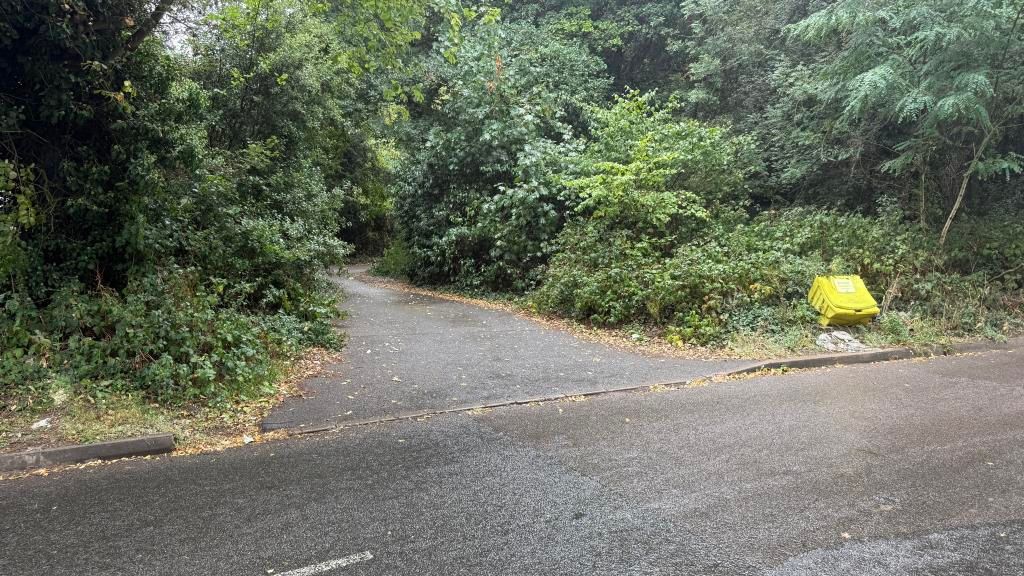 Property photo 3 of 6 Outside Image Of Woods With Road Access Point