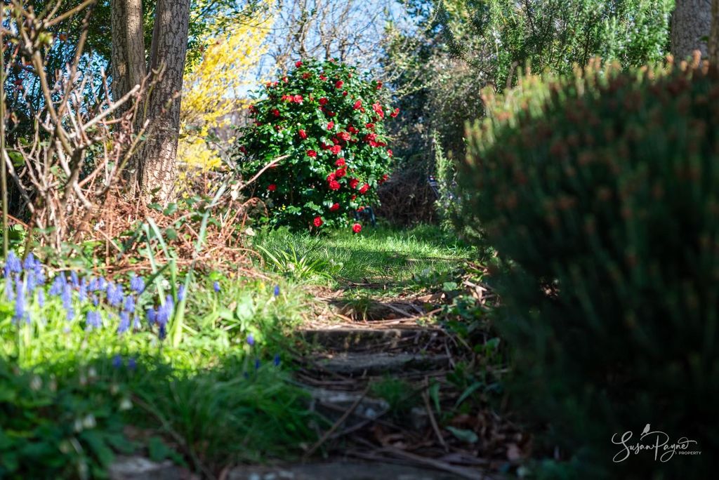 Property photo 3 of 31 Rear Garden