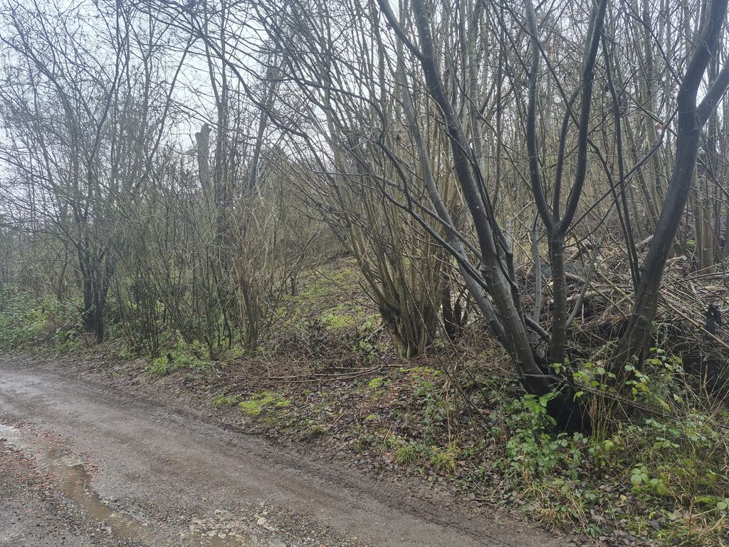 Property photo 1 of 3