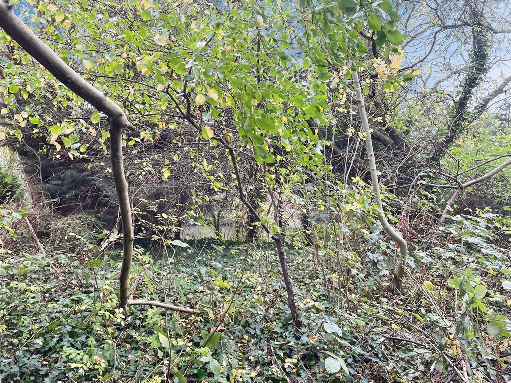 Property photo 2 of 2