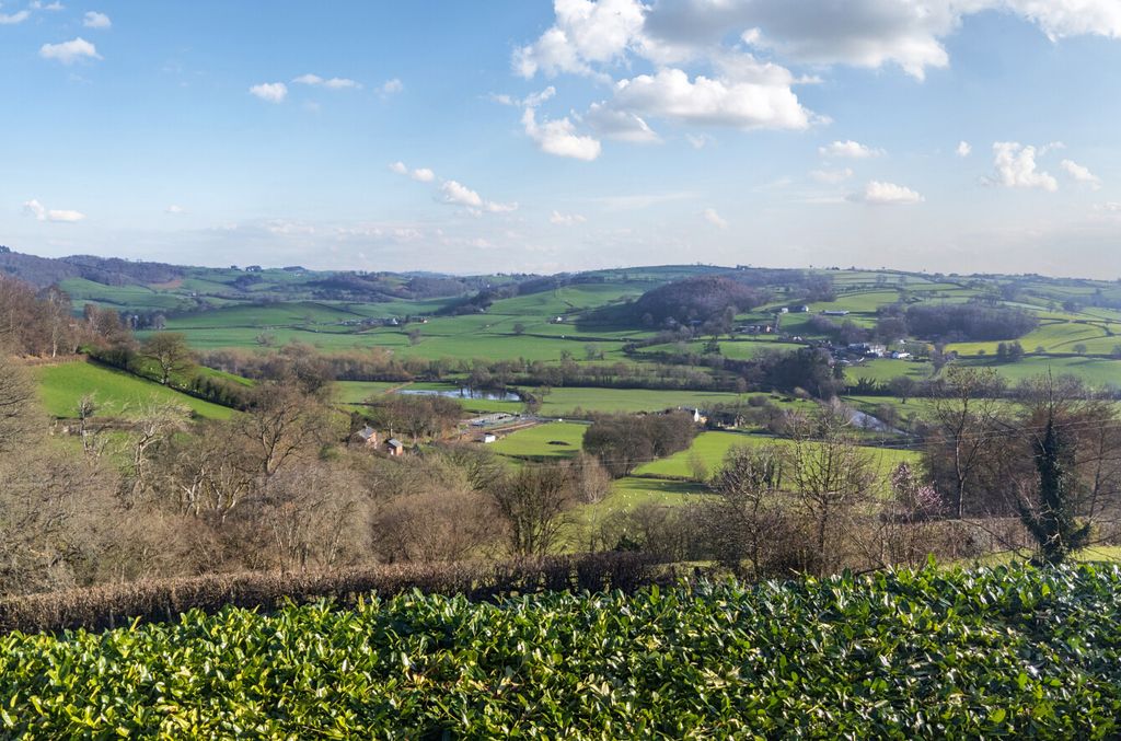 Additional image 54 of 3 bed cottage for salePenstrowed, Newtown, Powys SY16