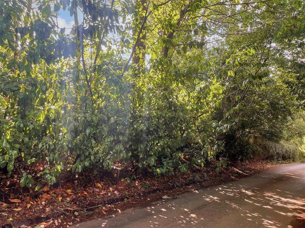 Property photo 2 of 2 Land