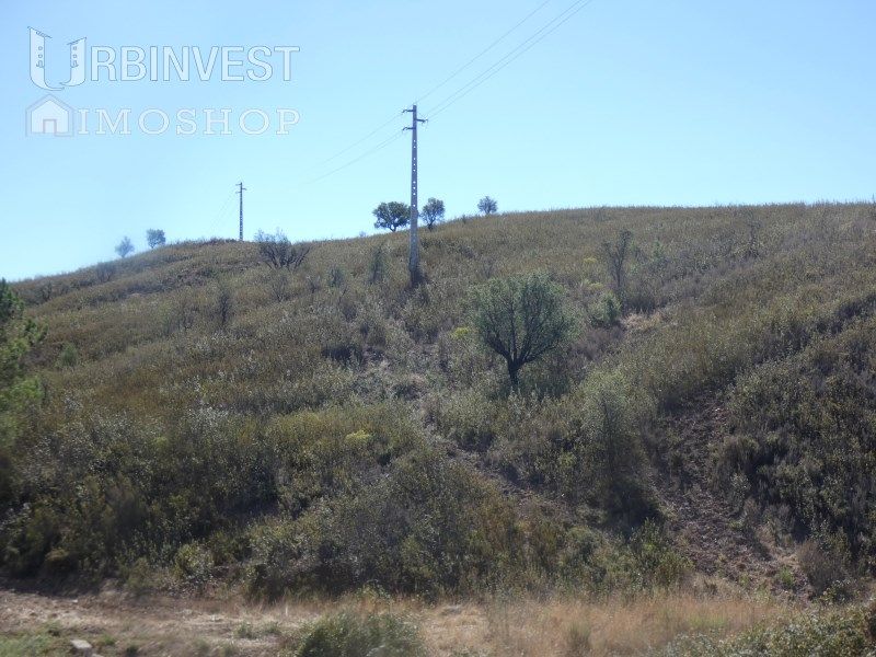 Property photo 3 of 35