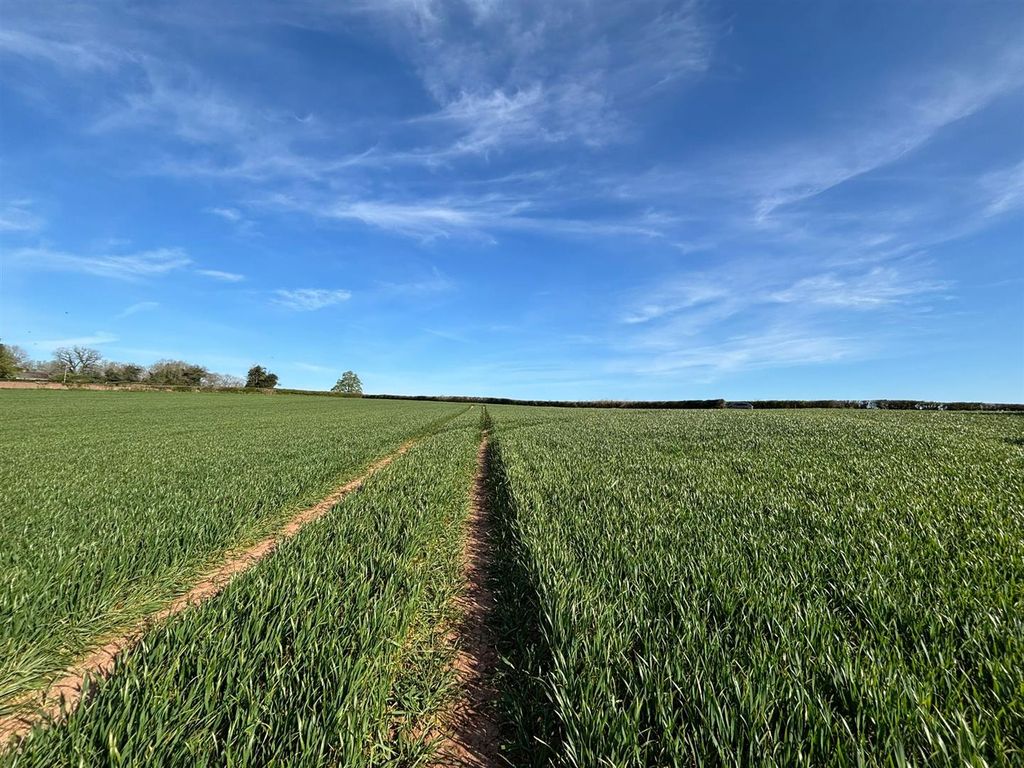 Property photo 1 of 5 Whatsapp Image 2026-04-07 At 10.04.23 (3).Jpeg