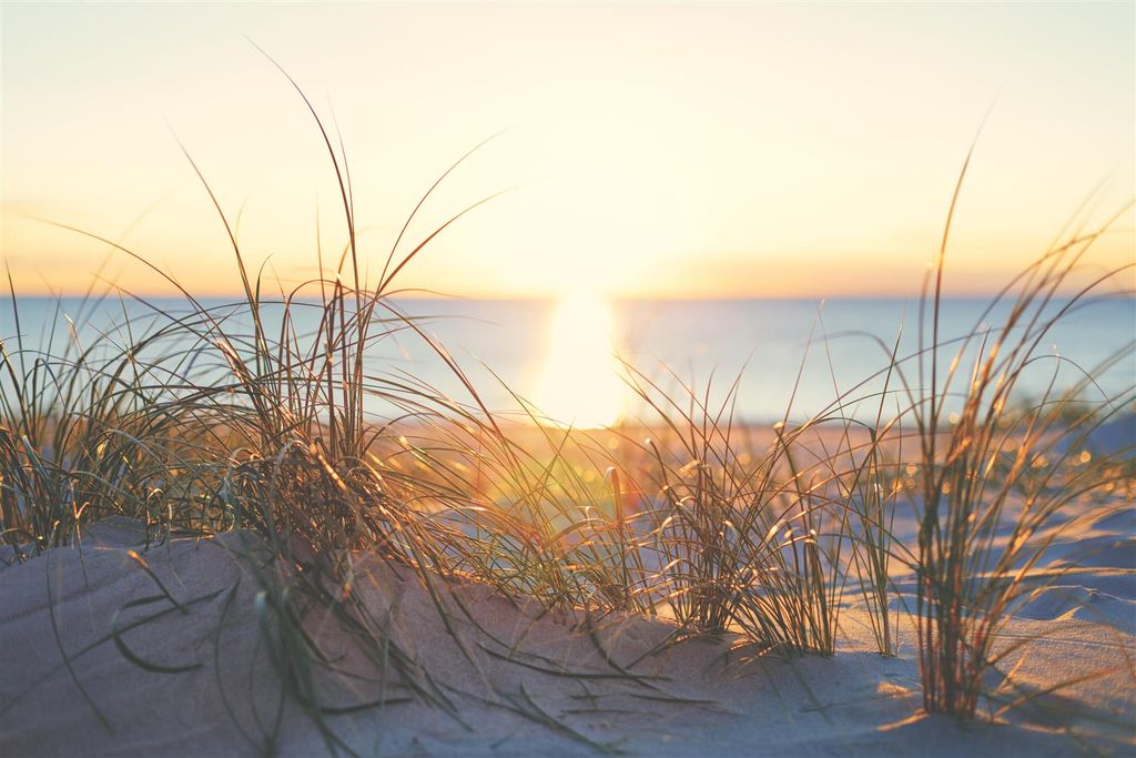 Property photo 3 of 17 Dunes