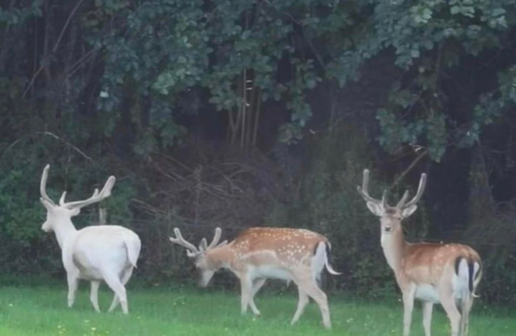 Property photo 2 of 13