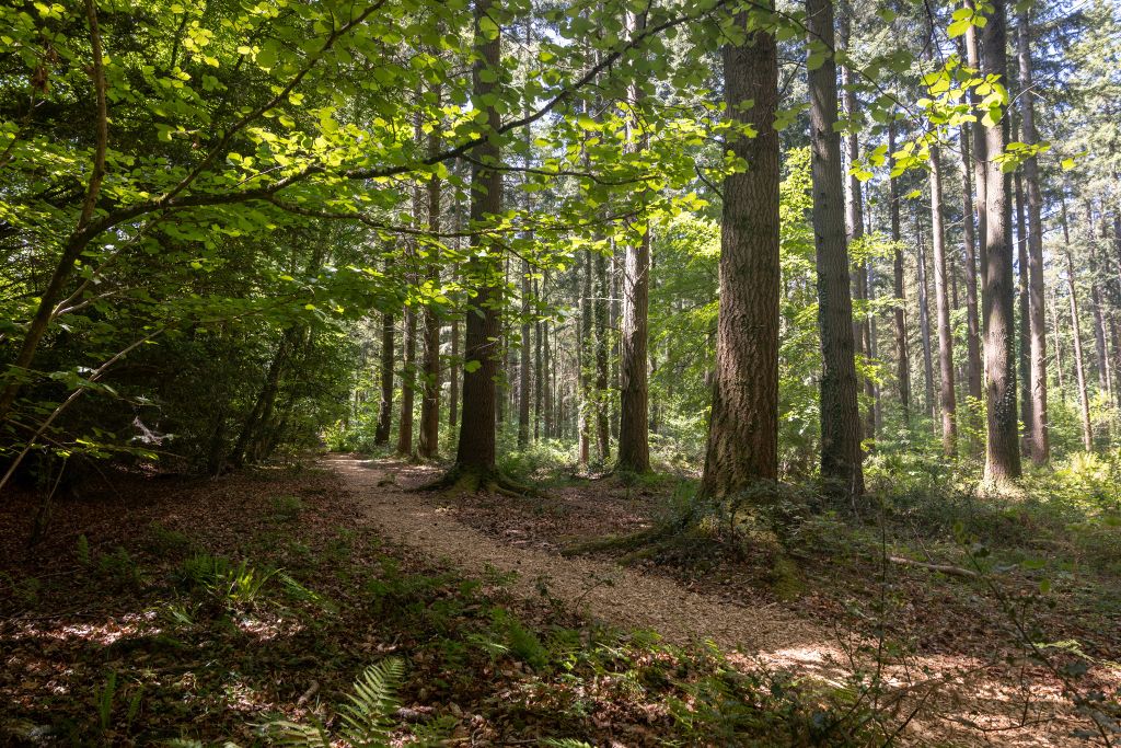 Property photo 2 of 23