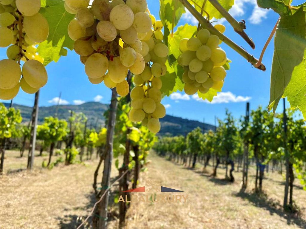 Property photo 3 of 45