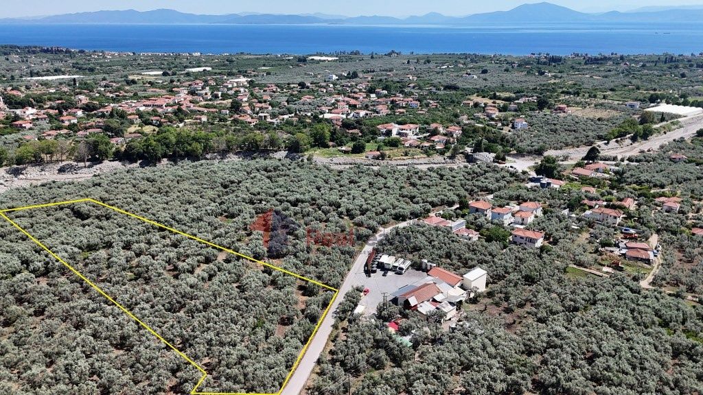 Property photo 1 of 26