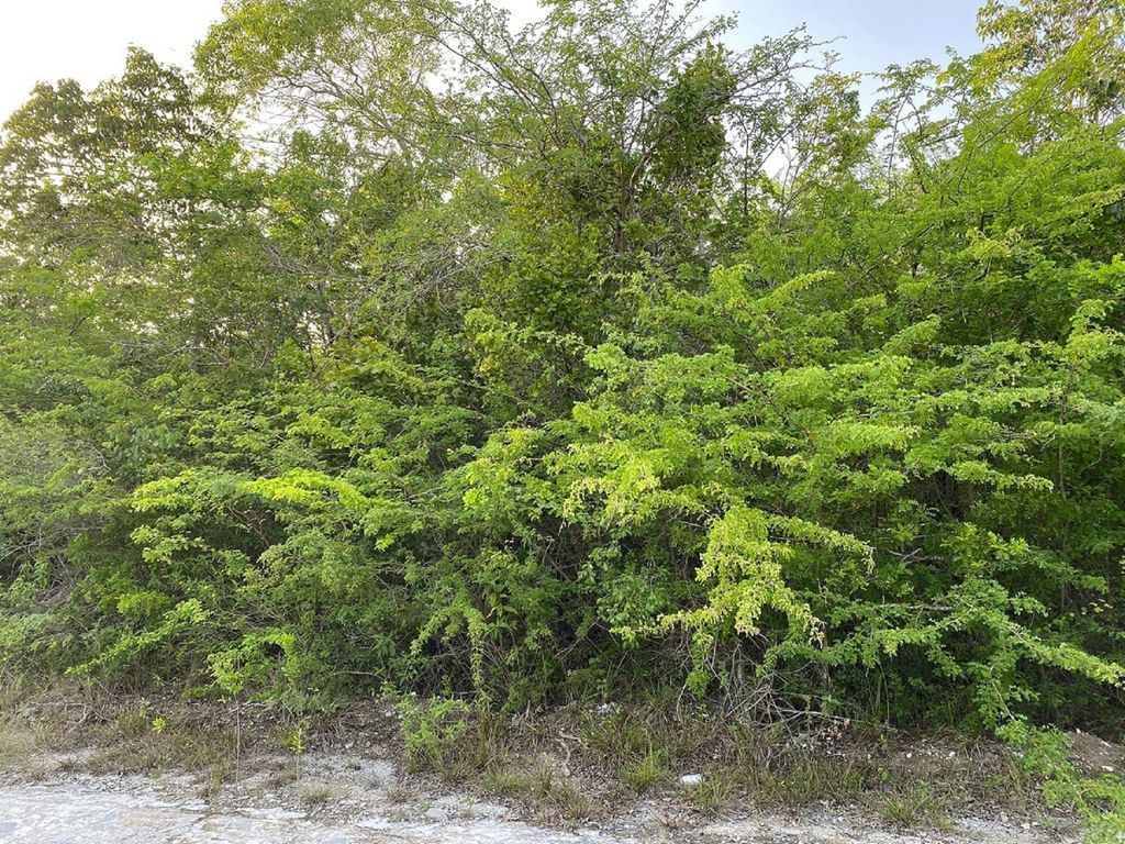 Property photo 3 of 5