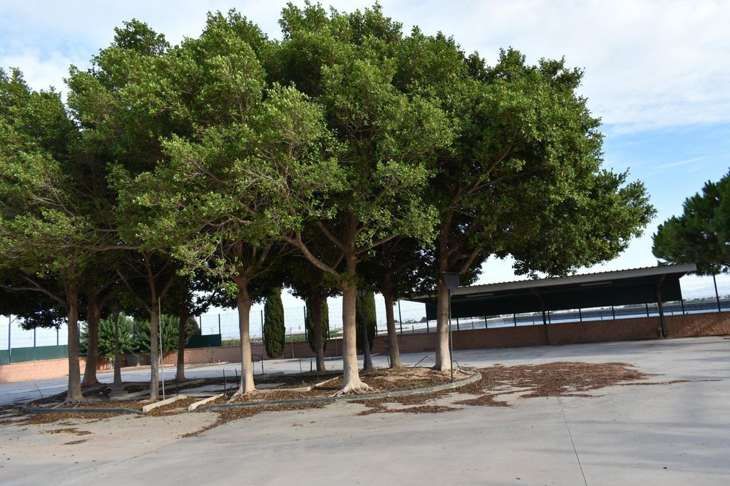 Property photo 3 of 21