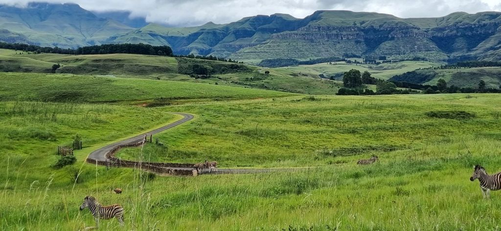 Property photo 3 of 15 1Pm1710991