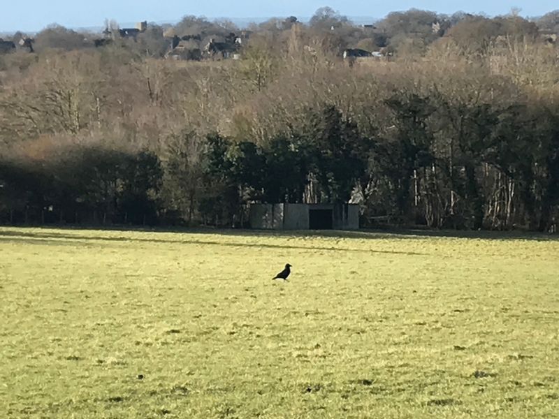 Property photo 3 of 4 Photo 2