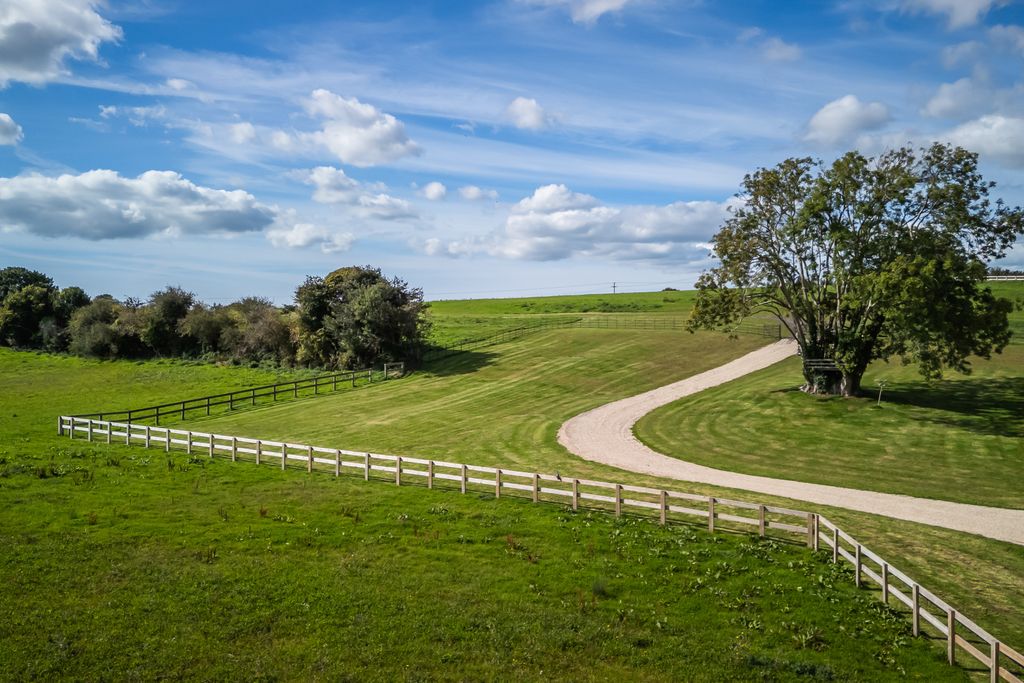 Property photo 2 of 17 Driveway