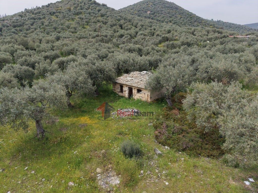 Property photo 3 of 29