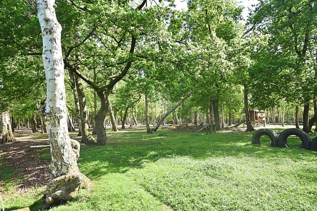 Property photo 3 of 39 Other