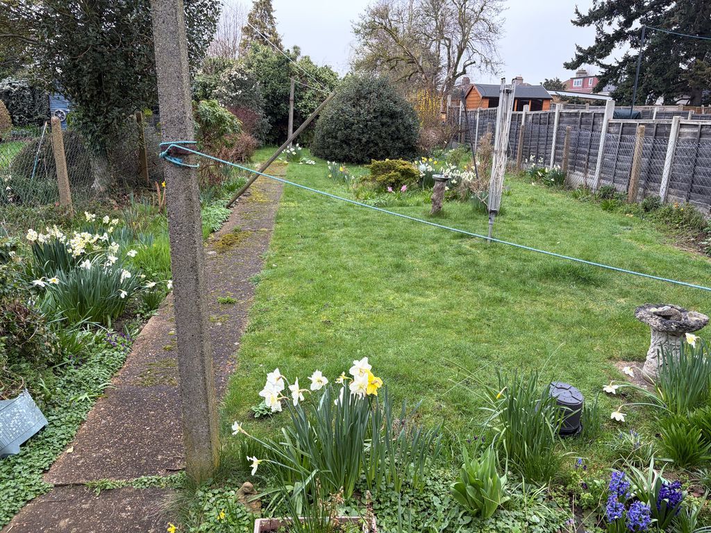 Property photo 2 of 13 Photo 13